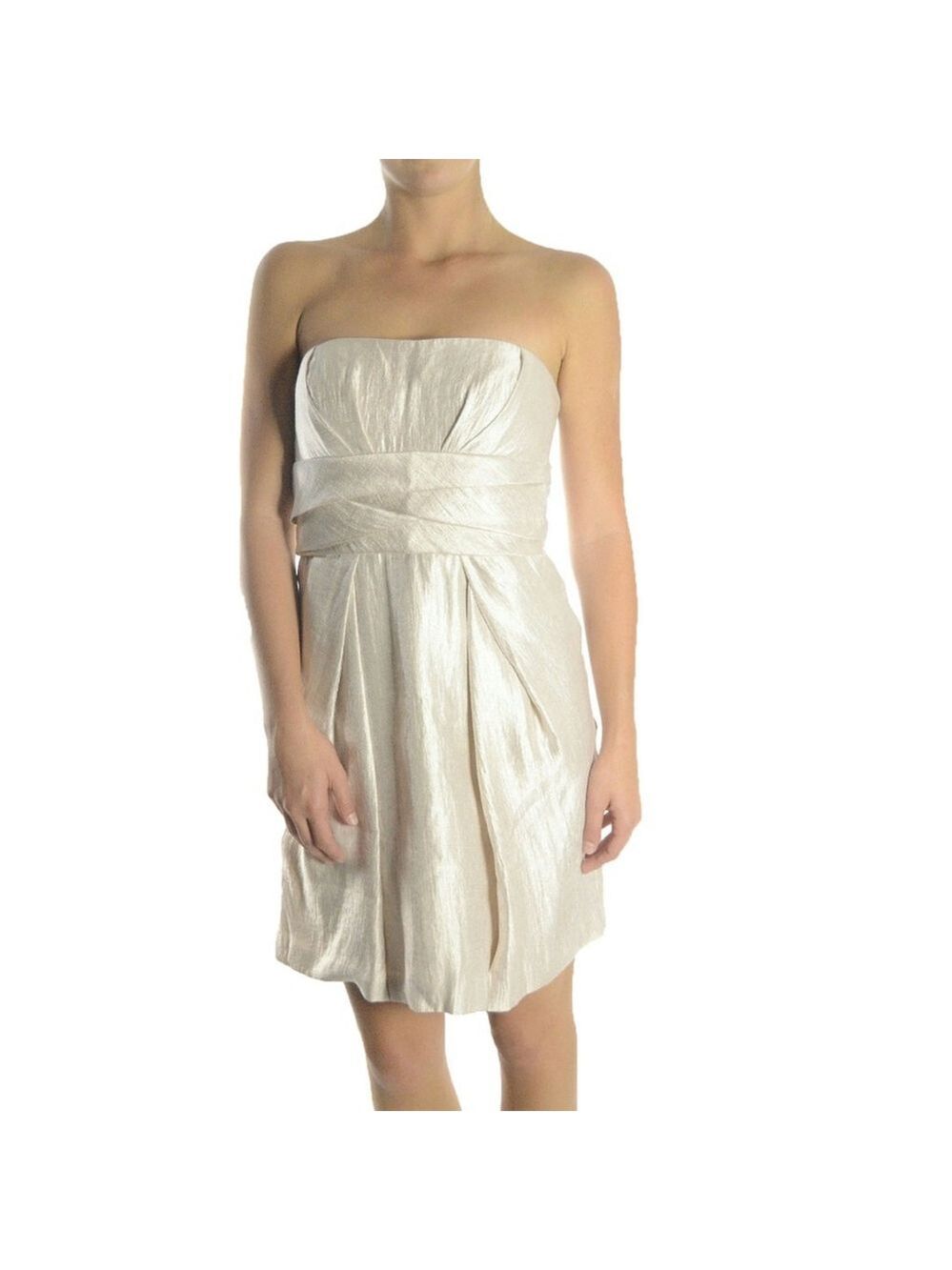 Max & Cleo Metallic Taffeta Pleated Dress